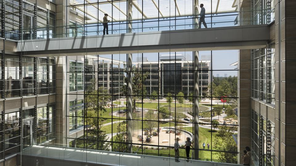 ExxonMobil office space with biophilic design elements, with large windows overlooking a green outdoor space with trees and pathways