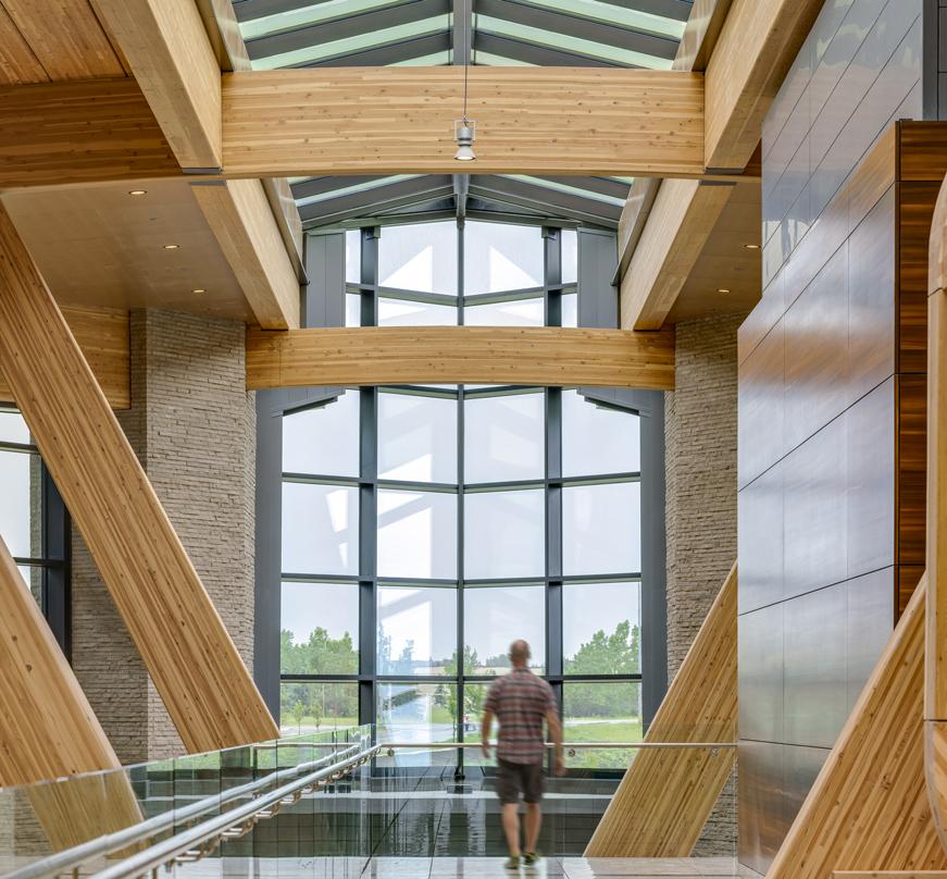 Person walking in an office space featuring biophilic design elements such as large windows, natural light, and exposed wooden beams